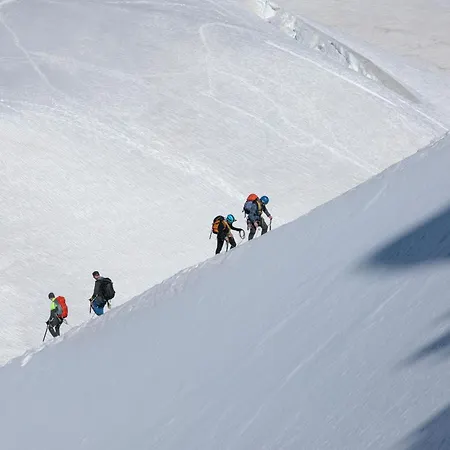 Sud - Jonquilles 328 - Happy