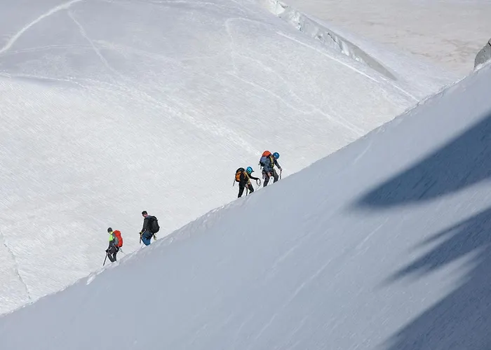 Sud - Jonquilles 328 - Happy